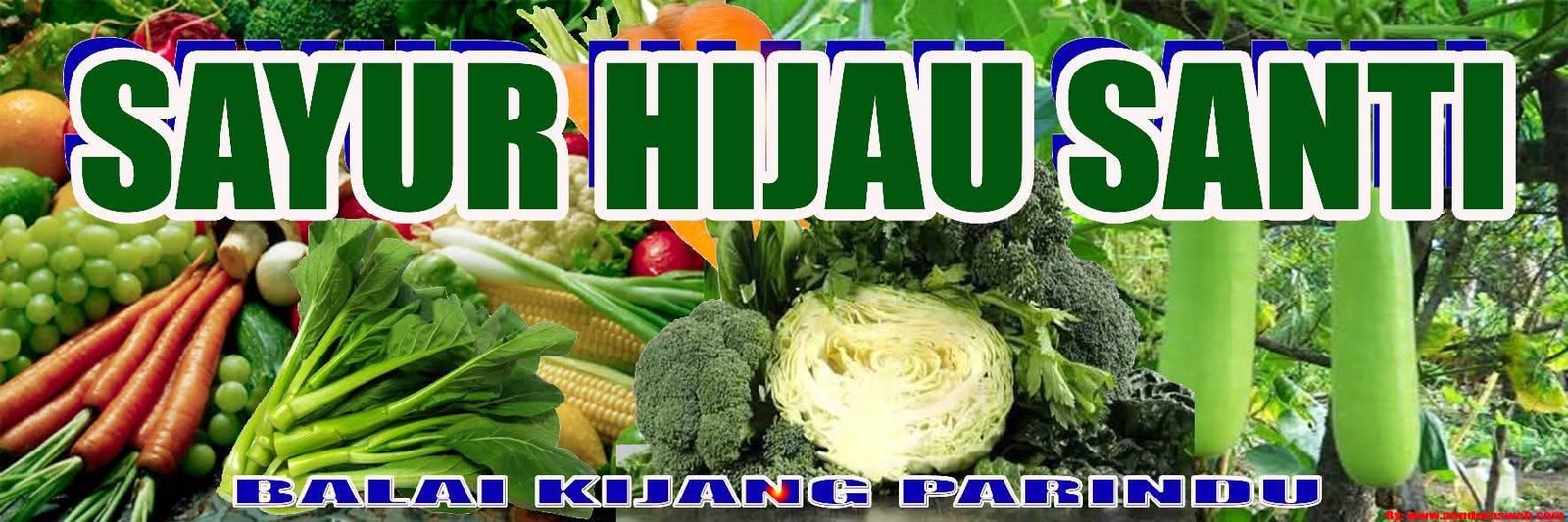 FB_IMG_1760434728446